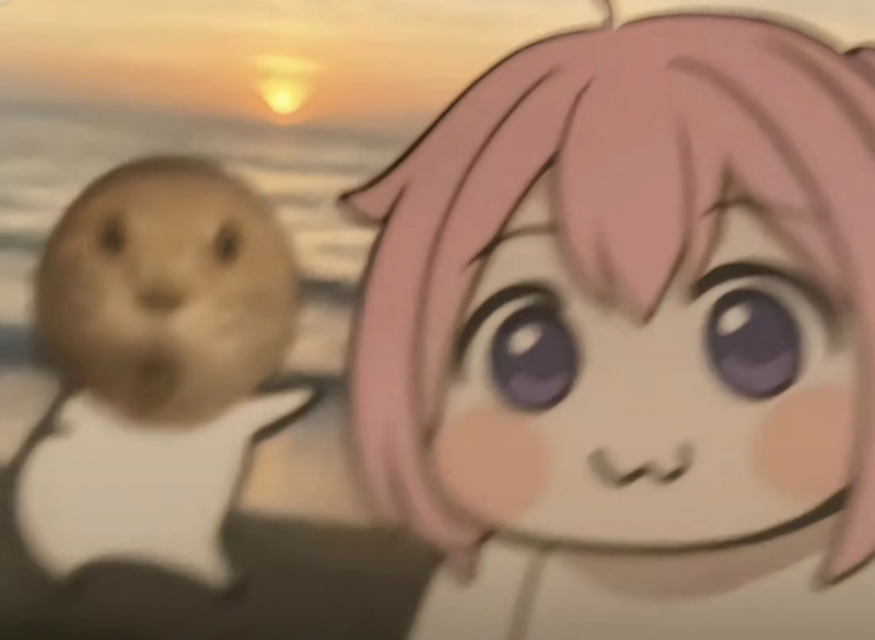 MT管理器-源分享