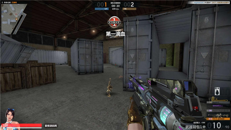 【CSOL反恐精英II汉化版】稀有多人3D射击+WIN本地学习手工端+客户端+教程文本-源分享